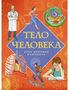 Тело человека. Атлас анатомии в картинках