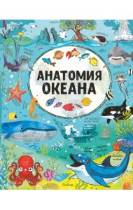Анатомия океана