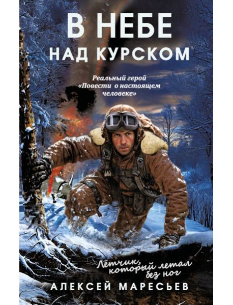 В небе над Курском. Реальный герой 
