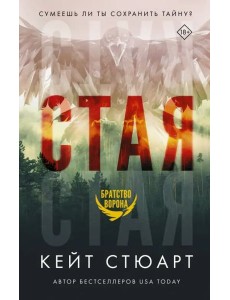 Стая Стая