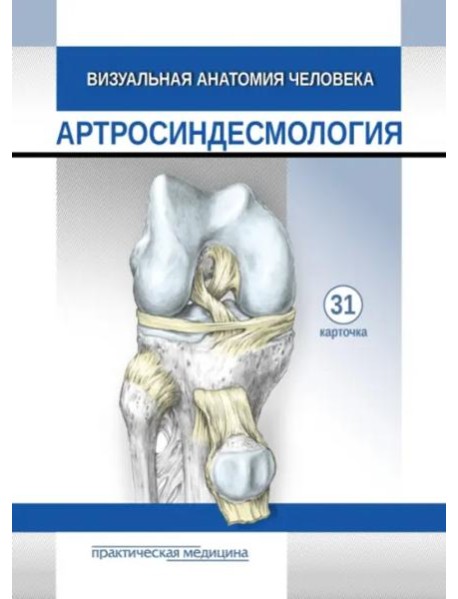 Визуальная анатомия человека. Артросиндесмология. Карточки, 31 штука