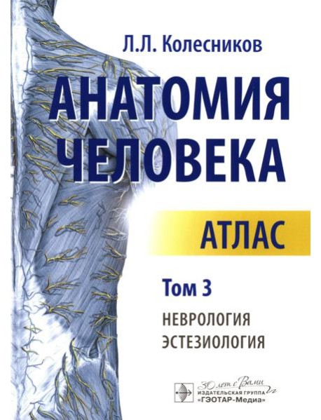 Анатомия человека. Атлас. В 3 томах. Том 3. Неврология, эстезиология