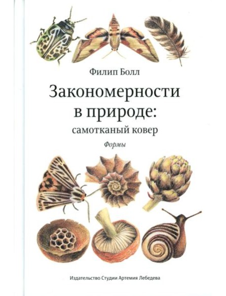 Закономерности в природе: самотканый ковер: В 3 ч.: Ч. 1: Формы