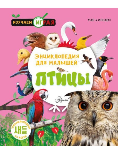 Птицы