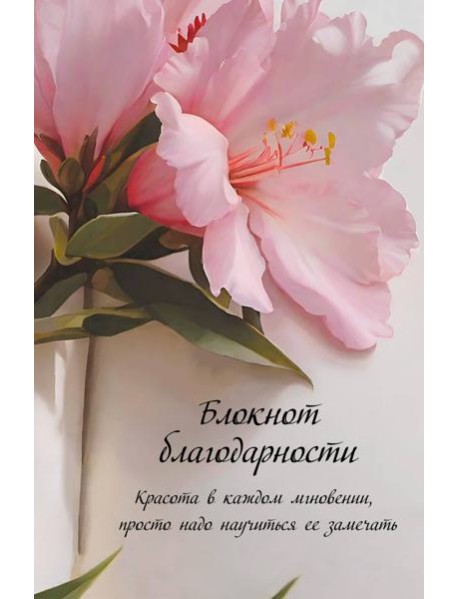 Блокнот благодарности. Красота в каждом мгновении, просто надо научиться ее замечать