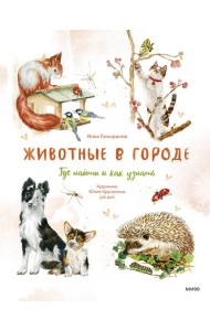 Животные в городе. Где найти и как узнать