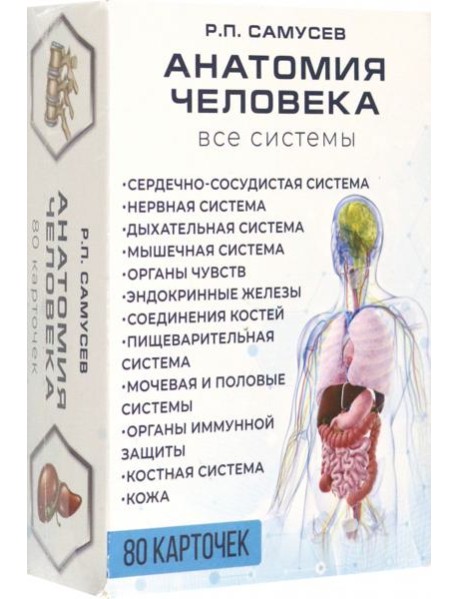 Анатомия человека. 80 карточек. Все системы