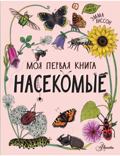 Насекомые