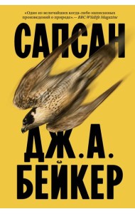 Сапсан