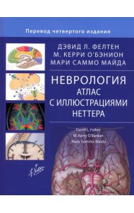 Неврология. Атлас с иллюстрациями Неттера. Фелтен Д.Л., О'Бэнион М.К., Майда М.С.