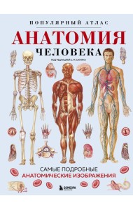 Анатомия человека. Популярный атлас. Самые подробные анатомические изображения