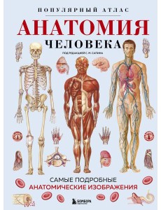 Анатомия человека. Популярный атлас. Самые подробные анатомические изображения