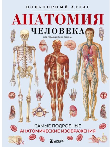 Анатомия человека. Популярный атлас. Самые подробные анатомические изображения