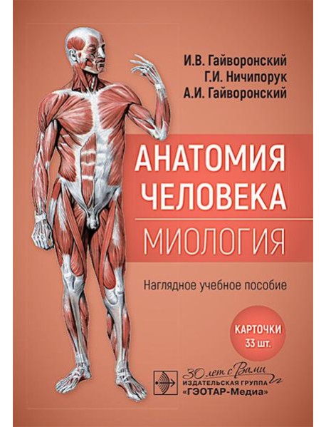 Анатомия человека. Миология. Карточки : наглядное учебное пособие