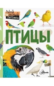 Птицы