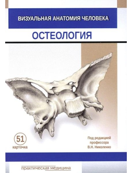Визуальная анатомия человека. Остеология (карточки 51 шт.)