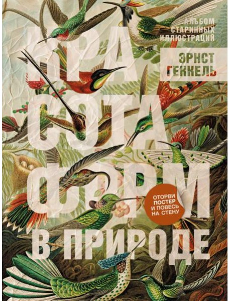 Красота форм в природе. Альбом старинных иллюстраций