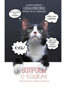 Вопросы о кошках. Самое интересное о пушистых любимцах