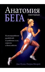 Анатомия бега