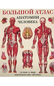 Большой атлас анатомии человека. Лучшие в мире анатомические таблицы