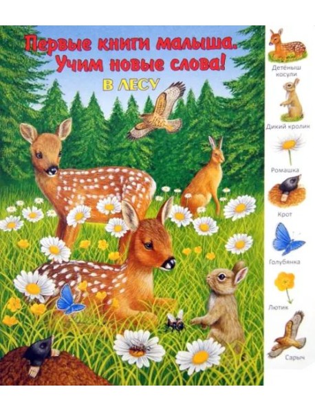 В лесу. Виммельбух