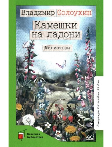 Камешки на ладони: миниатюры