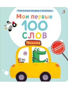 Мои первые 100 слов с большими окошками. Техника