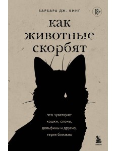 Как животные скорбят. Что чувствуют кошки, слоны, дельфины и другие, теряя близких
