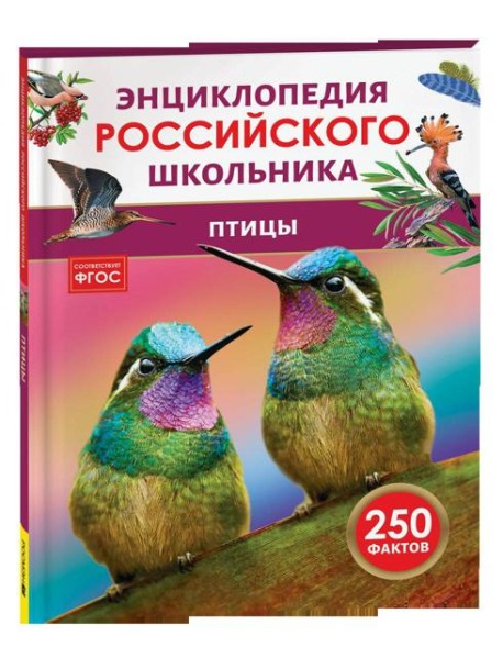 Птицы. Энциклопедия российского школьника