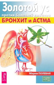 Золотой ус против болезней дыхания. Бронхит и астма