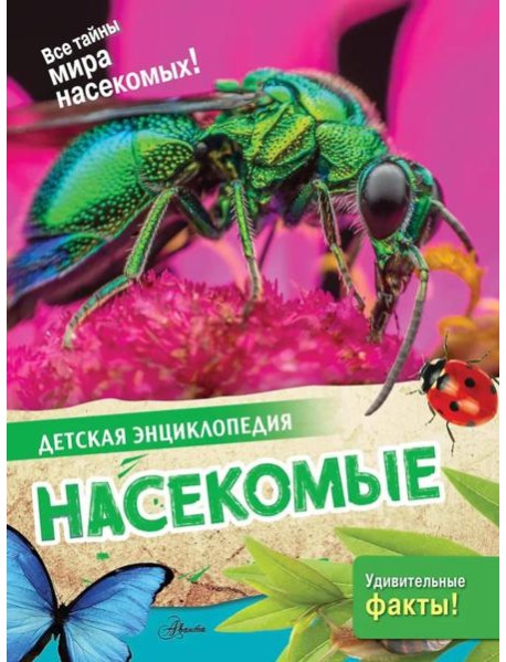 Насекомые