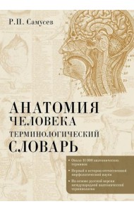 Анатомия человека.Терминологический словарь
