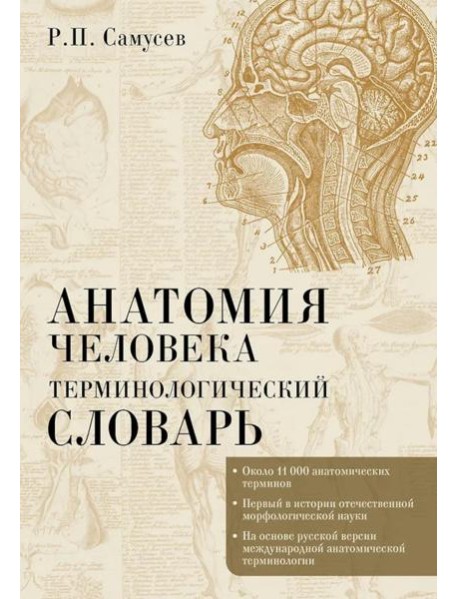 Анатомия человека.Терминологический словарь
