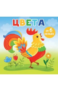 Цвета