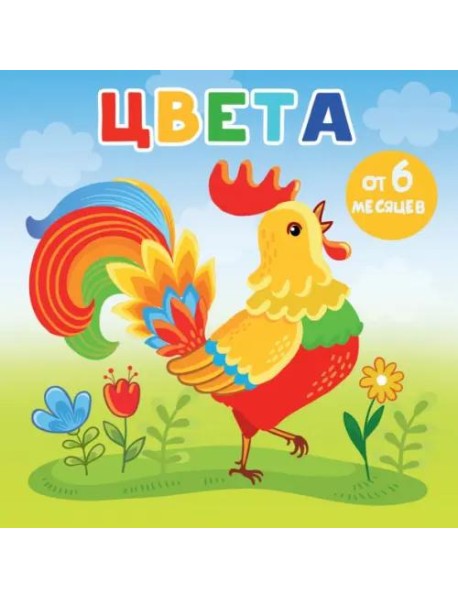 Цвета
