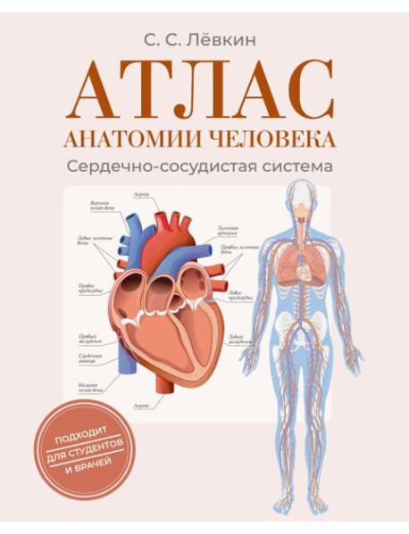 Атлас анатомии человека. Сердечно-сосудистая система