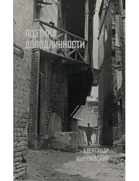 Поэтика доподлинности: Критическая проза. Записные книжки. Фотографии