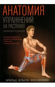 Анатомия упражнений на растяжку