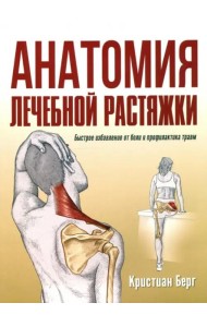 Анатомия лечебной растяжки: быстрое избавление от боли и профилактика травм