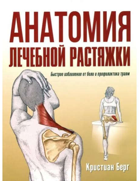 Анатомия лечебной растяжки: быстрое избавление от боли и профилактика травм