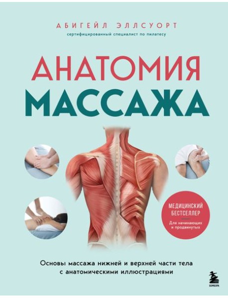 Анатомия массажа. Основы массажа нижней и верхней части тела с анатомическими иллюстрациями