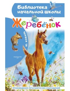 Жеребенок