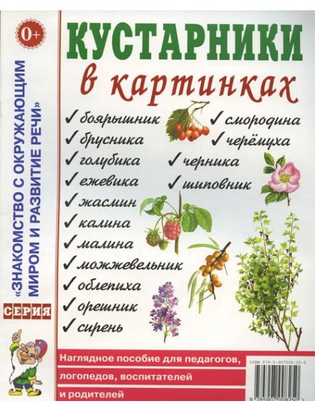 Кустарники в картинках Наглядное пособие для педагогов, логопедов, воспитателей и родителей