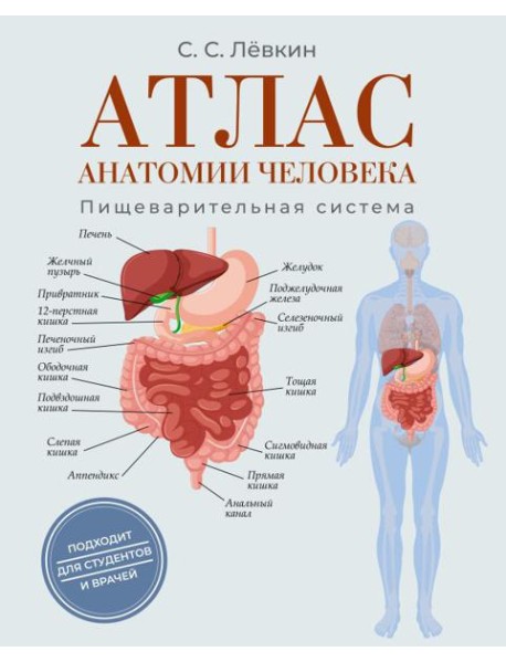 Атлас анатомии человека. Пищеварительная система