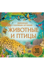 Животные и птицы. 3D книга с окошками