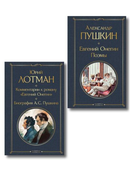 Расшифрованный Евгений Онегин (набор из 2 книг: Евгений Онегин, Комментарии к роману «Евгений Онегин». Биография А. С. Пушкина)