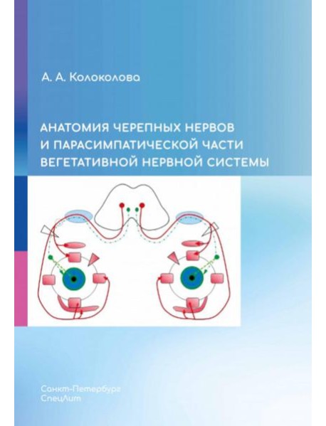 Анатомия черепных нервов и парасимпатической части вегетативной нервной системы