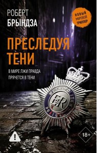 Преследуя тени: роман