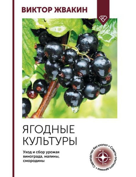 Ягодные культуры. Уход и сбор урожая винограда, малины, смородины