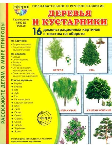 Деревья и кустарники. 16 демонстрационных картинок с текстом на обороте
